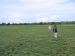 1176419-lakebed-grasses-herbs-iucnb.jpg