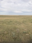2017-07-02_18-55-56_F8614F6F-3584-4C0E-A906-DECE56365215.jpg