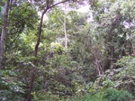 548711052008(64).JPG