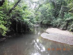 2017-09-12_16-46-59_Buffalo Creek, north towards  HiBridge Trail SP trestle, Farmville Va.JPG