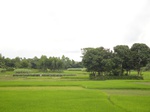 21302DSC00685.JPG