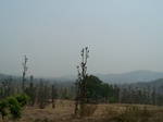 1729420042008(77).JPG