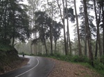 15025IMG_3838.JPG
