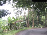 16254IMG_5027.JPG