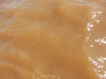 2012-09-21_14-26-10_CIMG0159.JPG
