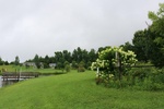 2017-07-05_16-01-17_IMG_3093_North.JPG