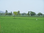 17587100_2524.JPG