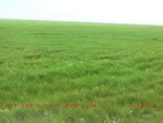 38847CIMG4776.gps.jpg