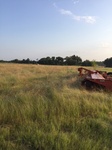 2017-09-04_09-21-02_Looking north.JPG