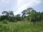 8846nigeria 051.jpg