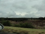 35792DSC02554.JPG