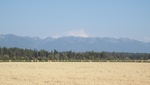 2018-09-06_21-47-53_DSCF5096.JPG