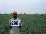 73760296a-rainfed-agriculture-soyabean-dominant-blackgram-doublecrop-wheat.jpg