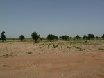 19169P1010015.JPG