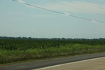 2022-05-26_14-15-49_B1389FBE-E6F6-4965-B88F-422C8108D63A.jpeg