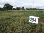 73690294a-rainfed-agriculture-soyabean-doublecrop-wheat.jpg