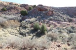 2017-05-07_17-46-56_2017-03-13 09.30.55.jpg