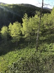 2018-05-27_08-36-44_B414D8DA-2807-4EA9-A64A-00B6E6938A35.jpg