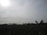 15539IMG_4609.JPG