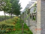 38892CIMG4450.gps.jpg