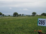 130180285a-rainfed-agriculture-soyabean-second-crop-wheat.gif