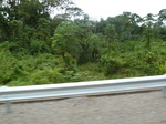 20019P1010869.JPG