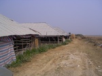 3121 054.jpg