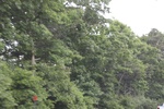 2022-06-12_15-25-17_64E5840D-AAF6-4A0E-A81F-F6166EF1352F.jpeg