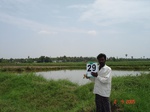 13073029c-irrigated-groundwater-sugarcane-rice-plantation-coconut-banana-double-crop.gif