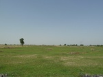 19163P1010009.JPG