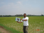 6137016c-irrigated-canal-rice-delta.jpg