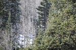 2022-01-19_13-50-46_4E8A1384.JPG