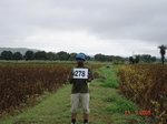 129970278d-rainfed-agriculture-soyabean.gif