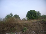 3835RIMG0139.JPG