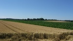 2016-07-25_03-26-56_DSCF1512.JPG