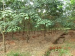 2012-09-26_20-48-41_CIMG1081.JPG