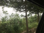 2017-09-10_06-56-05_236566CC-F2AF-4159-8294-CB6F0D0E2660.jpg