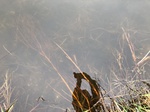 2021-05-05_08-16-10_2021-4-10-13-4-32.jpg