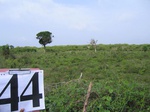 830444-cropland-chena-abandant-1yr-a.jpg