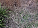 2017-02-19_13-44-09_Feb_2017_ground_lat30.017506_long-98.048516.JPG