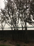 2017-09-12_10-33-59_BFE9C1B5-1465-467C-9CB3-30D8D5835FA0.jpg