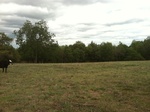 2012-09-14_21-33-16_AR-CR-11-1.JPG