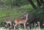 2017-09-25_09-38-21_lakecreek2.jpg