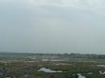 482002052008(18).JPG