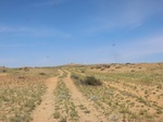 38668CIMG0202.JPG