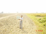 6551gt054-cropland-2.jpg