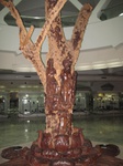 14888IMG_5282.JPG