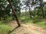 2012-09-26_20-48-26_CIMG0956.JPG