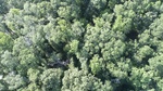 2017-06-12_13-57-37_DJI_0012.jpg