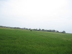 15621IMG_4693.JPG